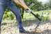 Кирка Fiskars Garden pick 2,5kg (171011)
