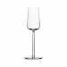 Набір келихів для шампанського Iittala Essence 21 cl 2 шт. (1008576)