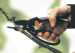 Секатор Fiskars Fingerloop Pruner Anvil P43 (111430)