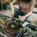 Культиватор Fiskars Solid™ (1072102)