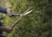 Ножницы для живой изгороди Fiskars PowerGear™ Steel HS92 (1001563)