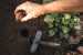 Инструмент для посадки луковичных Fiskars Ergo™ (1057078)