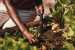 Конус посадочный Fiskars Solid™ (1057080)