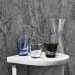 Набор стаканов Iittala Kartio 21 cl moss green (1025710)