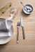 Набор столовых приборов Fiskars Functional Form Mirror 24 шт (1071623)
