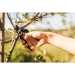 Площинний секатор Fiskars Solid™ P131 (1057161)