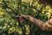 Площинний секатор Fiskars Solid™ P321 (1057162)