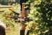 Сучкорез Fiskars PowerGearX Lopper Bypass L (112490)