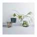Ваза Iittala Alvar Aalto 160 mm moss green (1051429)